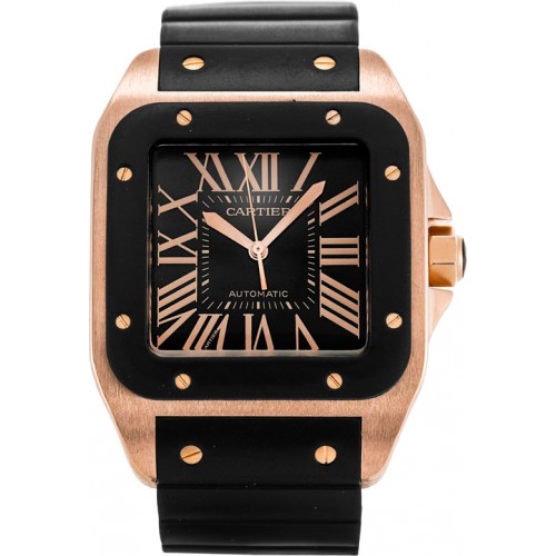 Cartier Santos 100 W20124U2