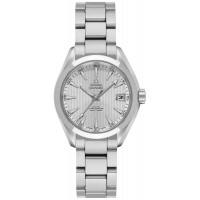 Omega Seamaster Aqua Terra 23110302002001