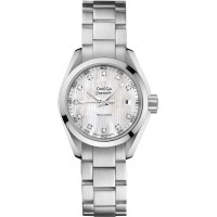 Omega Seamaster Aqua Terra 23110306055001