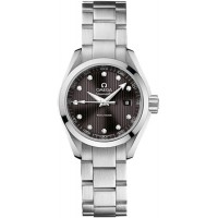 Omega Seamaster Aqua Terra 23110306056001