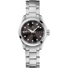 Omega Seamaster Aqua Terra 23110306056001 Omega Seamaster Aqua Terra 23110306056001