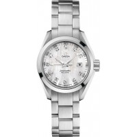 Omega Seamaster Aqua Terra 23110306155001