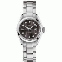 Omega Seamaster Aqua Terra 23110306156001