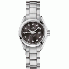 Omega Seamaster Aqua Terra 23110306156001
