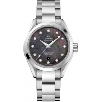 Omega Seamaster Aqua Terra 23110342057001