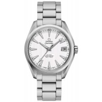 Omega Seamaster Aqua Terra Automatic Chronometer Men's Watch 23110392102001
