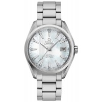 Omega Seamaster Aqua Terra Co-Axial Automatic Men's Watch 23110392155001