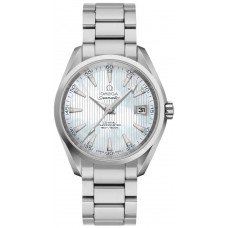 Omega Seamaster Aqua Terra Co-Axial Automatic Men's Watch 23110392155001