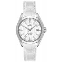 Omega Seamaster Aqua Terra 23113342004001
