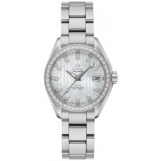 Omega Seamaster Aqua Terra 23115302055001