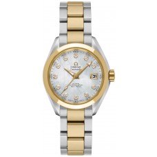 Omega Seamaster Aqua Terra 23120302055002