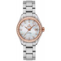 Omega Seamaster Aqua Terra 223125302055003