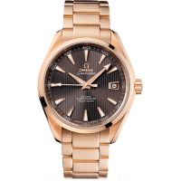Omega Seamaster Aqua Terra 23150422106001