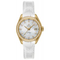 Omega Seamaster Aqua Terra 23158302055002