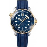Omega Seamaster 21022422003001