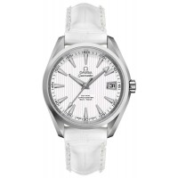 Omega Seamaster Aqua Terra Chronometer Silver Dial Men's Watch 23110392102001-WHTCD