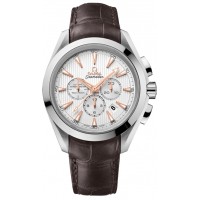 Omega Seamaster Aqua Terra 23113445002001