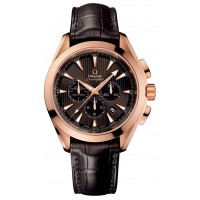 Omega Seamaster Aqua Terra 23153445006001